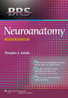 BRS Neuroanatomy [5th-2014].pdf